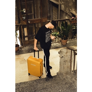 All black luggage online