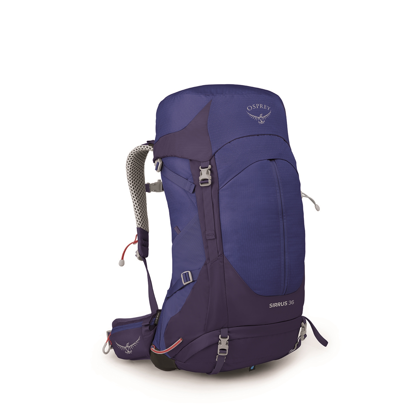 autobiografie Vrijlating Ooit Osprey Sirrus 36 Backpack blueberry | Travelbags.nl