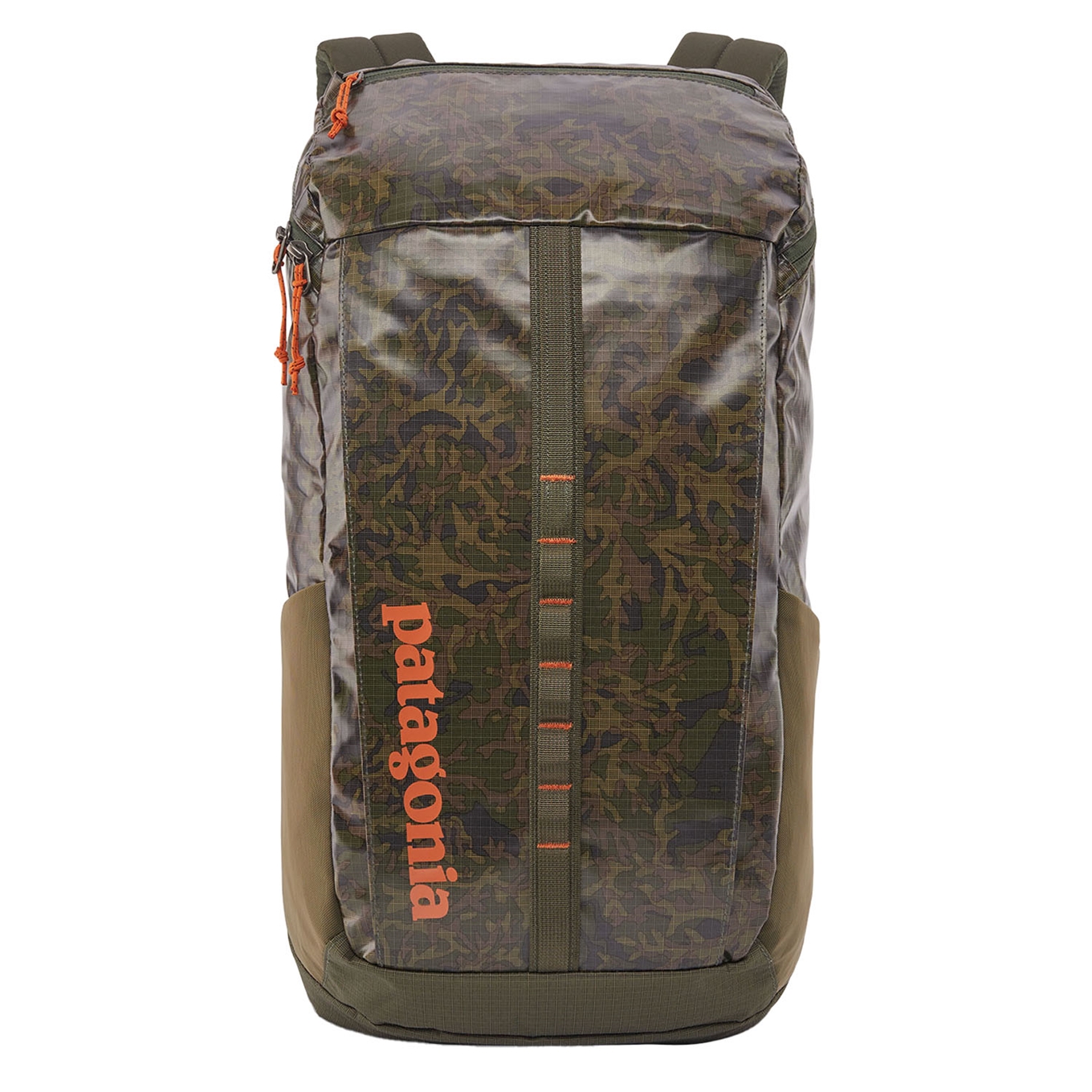 Patagonia Black Hole Pack 25L lichen: basin green backpack