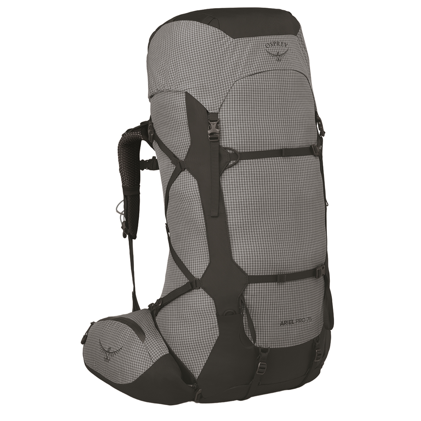 Osprey Ariel Pro 75 WM/WL silver lining backpack