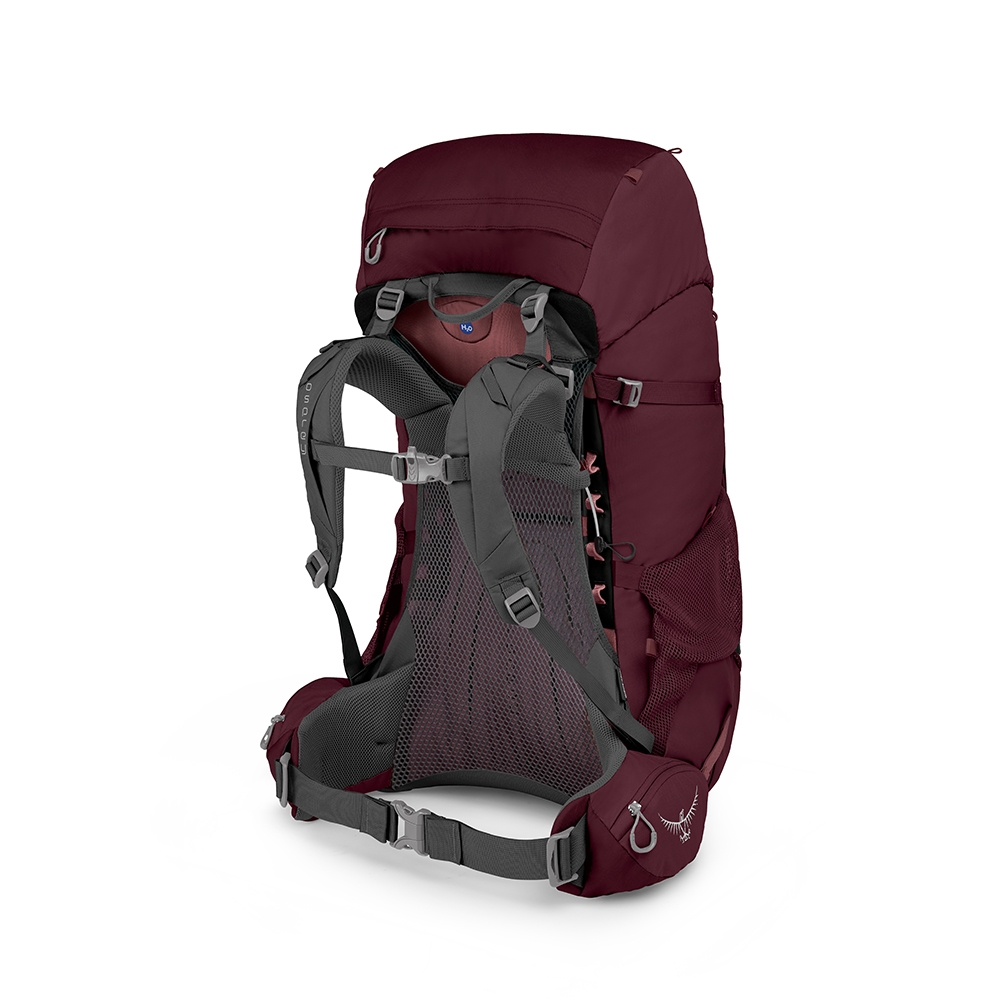 Osprey Renn 65 Women's Backpack aurora purple | Travelbags.be